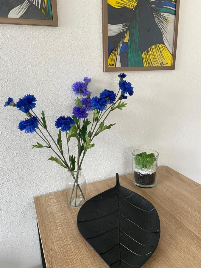 Chez Orely Appartement Horbourg Buitenkant foto