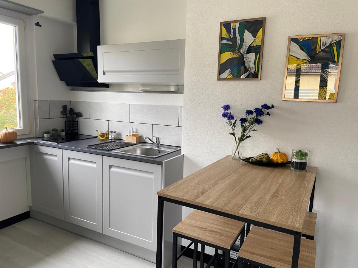 Chez Orely Appartement Horbourg Buitenkant foto